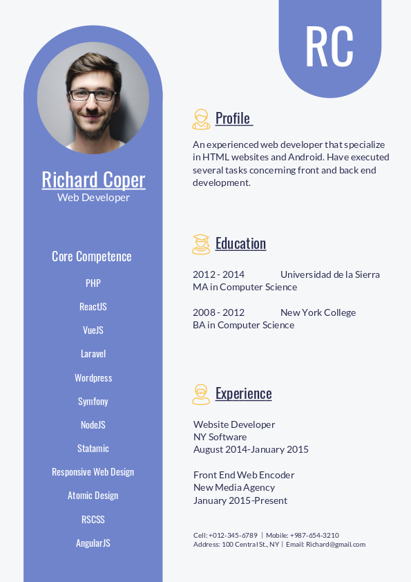 web developer resume