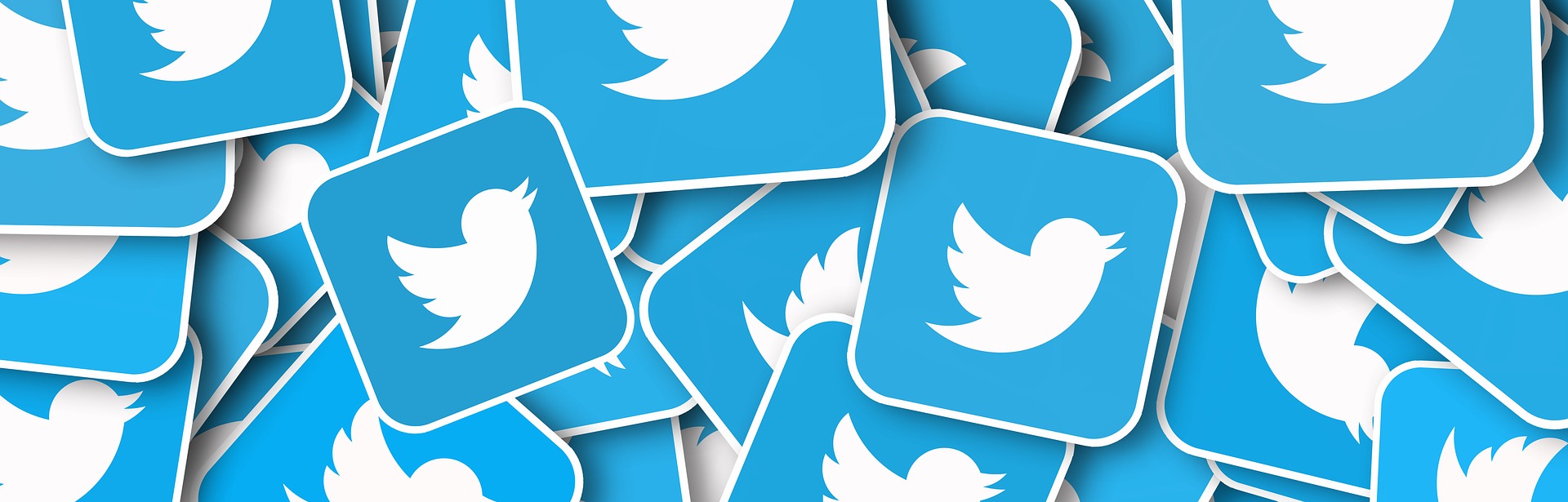 Twitter Banner Size Guide: Tips, Examples, & More | Fotor's Blog