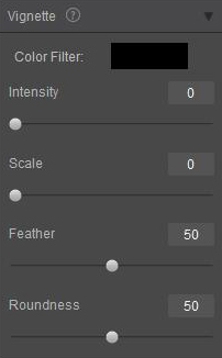 Photo Vignette using Fotor Photo editing tool for Mac